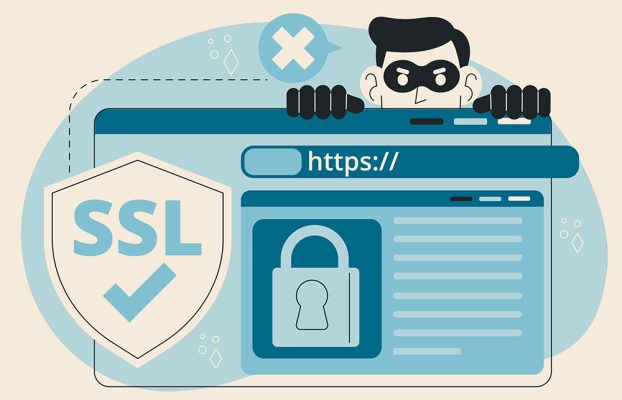 3 Essentials to Manage Annually Beyond Website Creation: Domain, Hosting, and SSL